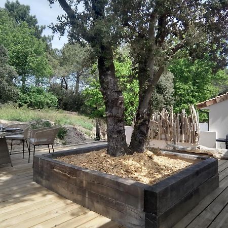 Villa Bois Flottes Ле-Вердон-Сюр-Мер Экстерьер фото